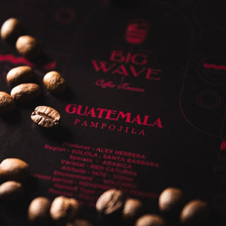 GUATEMALA - PAMPOJILA - Tostato per espresso o moka